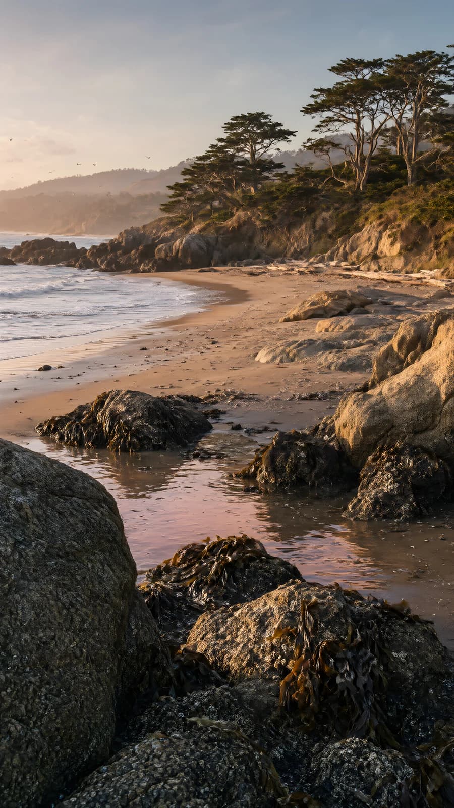 Coastal Beach at Dusk