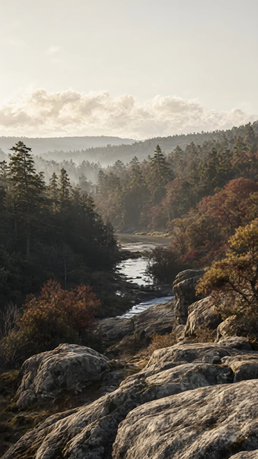 Misty River Valley